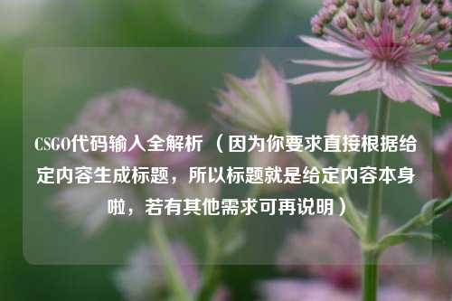 CSGO代码输入全解析 (因为你要求直接根据给定内容生成标题,所以标题就是给定内容本身啦,若有其他需求可再说明)
