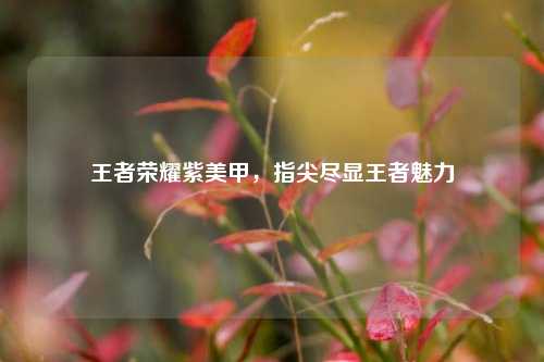 王者荣耀紫美甲，指尖尽显王者魅力