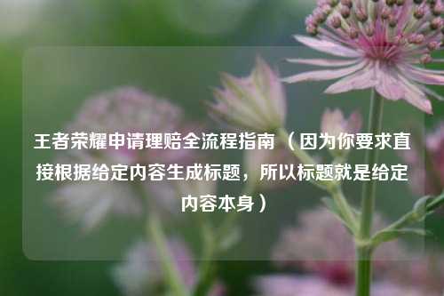 王者荣耀申请理赔全流程指南 (因为你要求直接根据给定内容生成标题,所以标题就是给定内容本身)
