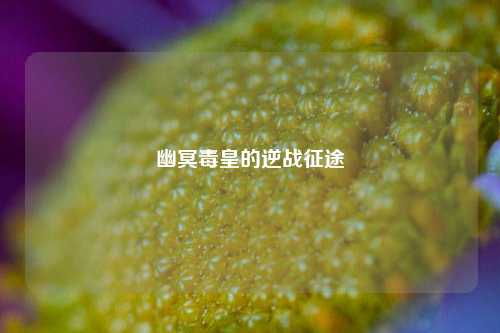 幽冥毒皇的逆战征途