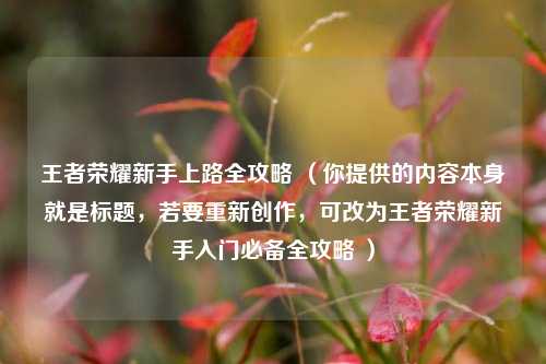王者荣耀新手上路全攻略 （你提供的内容本身就是标题，若要重新创作，可改为王者荣耀新手入门必备全攻略 ）