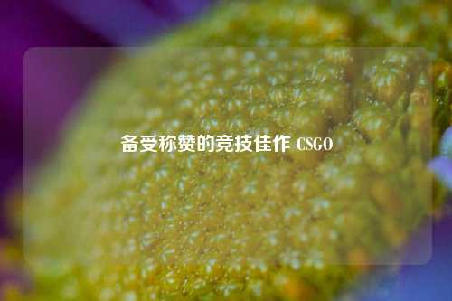 备受称赞的竞技佳作 CSGO