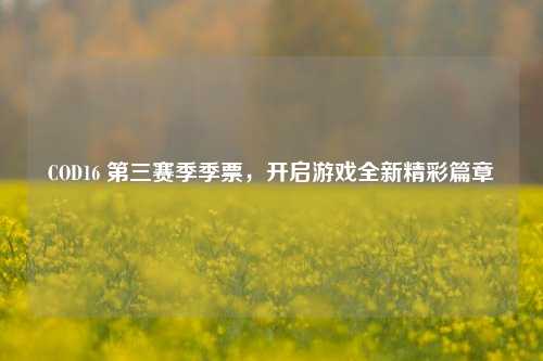COD16 第三赛季季票,开启游戏全新精彩篇章