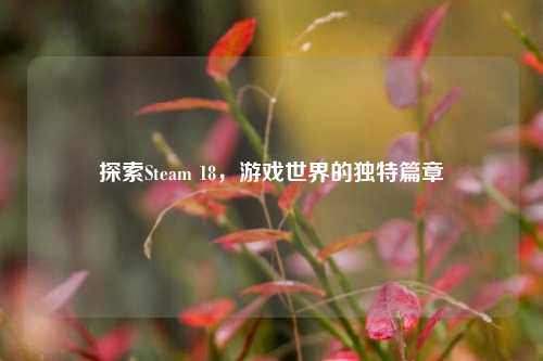 探索Steam 18,游戏世界的独特篇章
