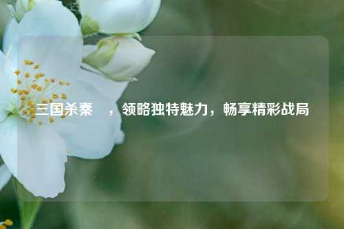 三国杀秦淧，领略独特魅力，畅享精彩战局