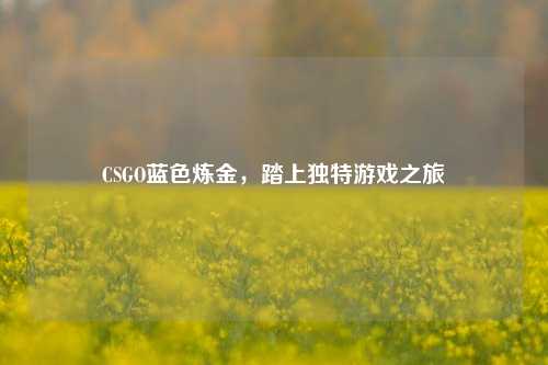 CSGO蓝色炼金，踏上独特游戏之旅