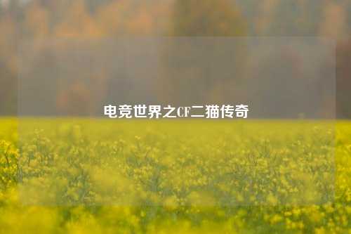 电竞世界之CF二猫传奇