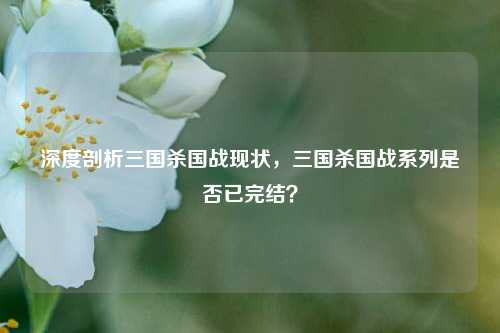 深度剖析三国杀国战现状,三国杀国战系列是否已完结?