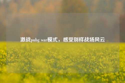 激战pubg war模式，感受别样战场风云
