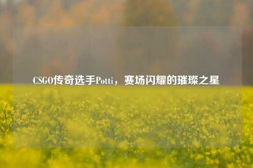 CSGO传奇选手Potti,赛场闪耀的璀璨之星
