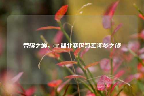 荣耀之巅，CF 湖北赛区冠军逐梦之旅