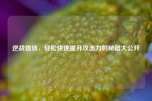 逆战猎场,轻松快速提升攻击力的秘籍大公开