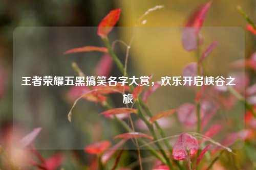 王者荣耀五黑搞笑名字大赏,欢乐开启峡谷之旅