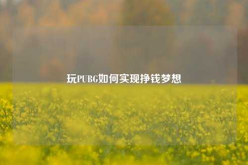 玩PUBG如何实现挣钱梦想