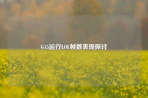 G15运行LOL帧数表现探讨
