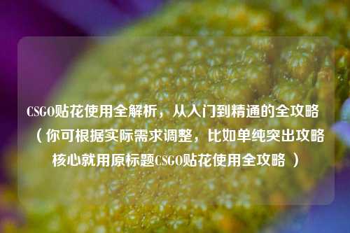 CSGO贴花使用全解析，从入门到精通的全攻略 （你可根据实际需求调整，比如单纯突出攻略核心就用原标题CSGO贴花使用全攻略 ）