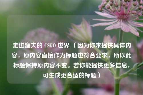 走进渔夫的 CSGO 世界 (因为你未提供具体内容,原内容直接作为标题也符合要求,所以此标题保持原内容不变。若你能提供更多信息,可生成更合适的标题)