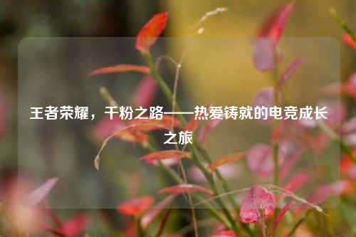 王者荣耀，千粉之路——热爱铸就的电竞成长之旅
