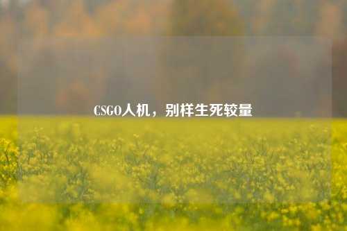 CSGO人机，别样生死较量