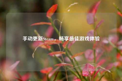 手动更新Steam,畅享最佳游戏体验