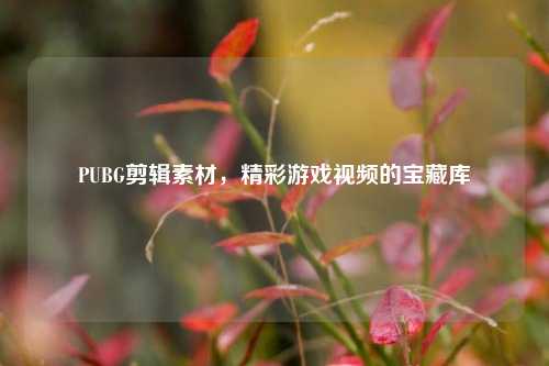 PUBG剪辑素材,精彩游戏视频的宝藏库