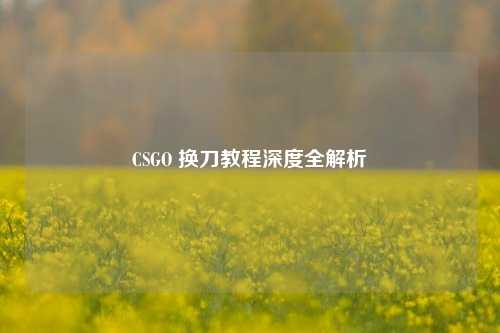 CSGO 换刀教程深度全解析