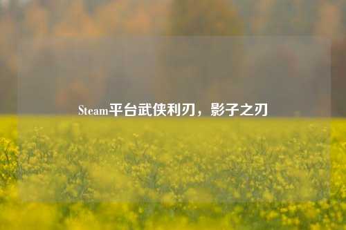 Steam平台武侠利刃,影子之刃