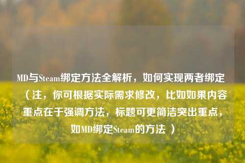 MD与Steam绑定方法全解析,如何实现两者绑定 (注,你可根据实际需求修改,比如如果内容重点在于强调方法,标题可更简洁突出重点,如MD绑定Steam的方法 )
