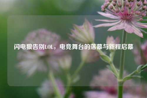 闪电狼告别LOL，电竞舞台的落幕与新程启幕