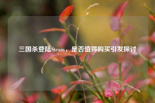 三国杀登陆Steam，是否值得购买引发探讨