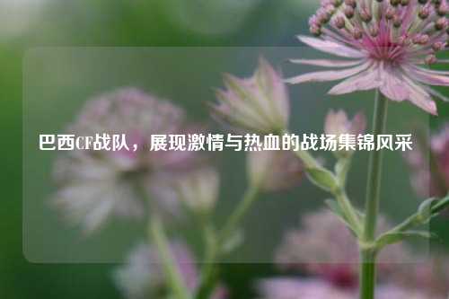 巴西CF战队，展现激情与热血的战场集锦风采