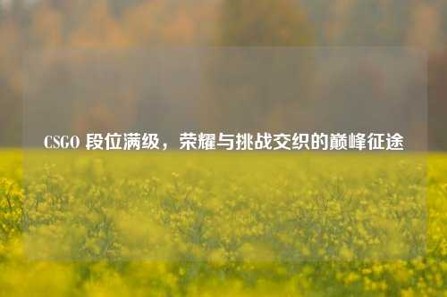 CSGO 段位满级，荣耀与挑战交织的巅峰征途