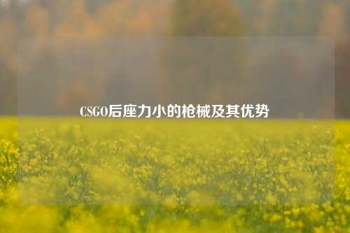 CSGO后座力小的枪械及其优势