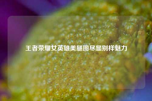 王者荣耀女英雄美腿图尽显别样魅力