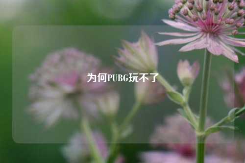 为何PUBG玩不了