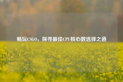 畅玩CSGO，探寻最佳CPU核心数选择之道