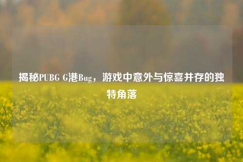揭秘PUBG G港Bug，游戏中意外与惊喜并存的独特角落