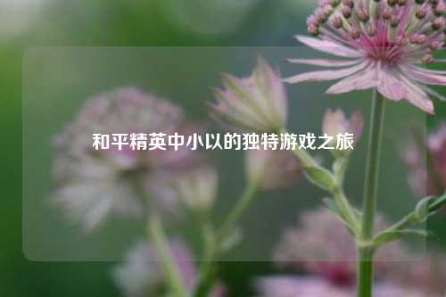 和平精英中小以的独特游戏之旅