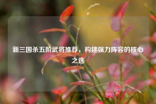 新三国杀五阶武将推荐，构建强力阵容的核心之选