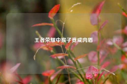 王者荣耀中猴子竟成肉盾