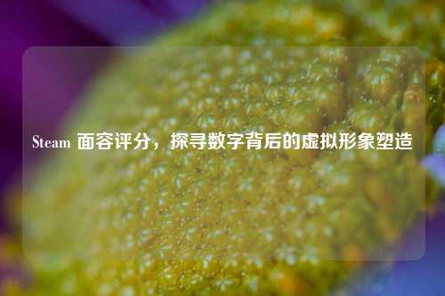 Steam 面容评分，探寻数字背后的虚拟形象塑造