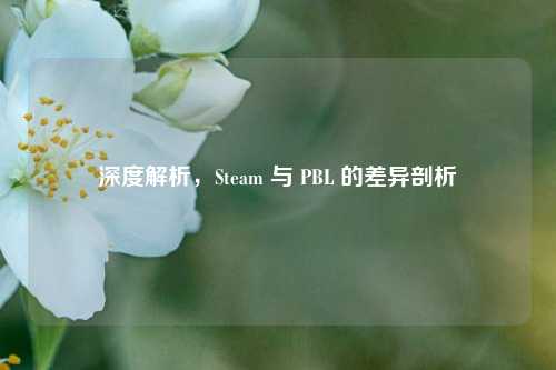 深度解析，Steam 与 PBL 的差异剖析