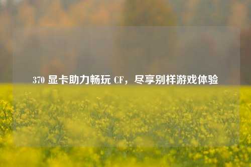 370 显卡助力畅玩 CF，尽享别样游戏体验