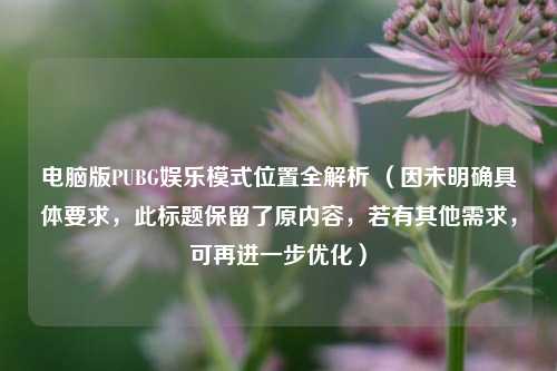电脑版PUBG娱乐模式位置全解析 （因未明确具体要求，此标题保留了原内容，若有其他需求，可再进一步优化）