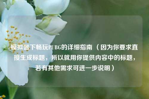 模拟器下畅玩PUBG的详细指南 （因为你要求直接生成标题，所以就用你提供内容中的标题，若有其他需求可进一步说明）