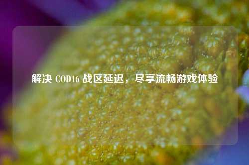 解决 COD16 战区延迟，尽享流畅游戏体验