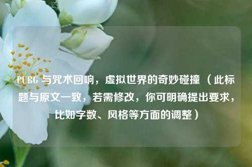PUBG 与咒术回响,虚拟世界的奇妙碰撞 (此标题与原文一致,若需修改,你可明确提出要求,比如字数、风格等方面的调整)