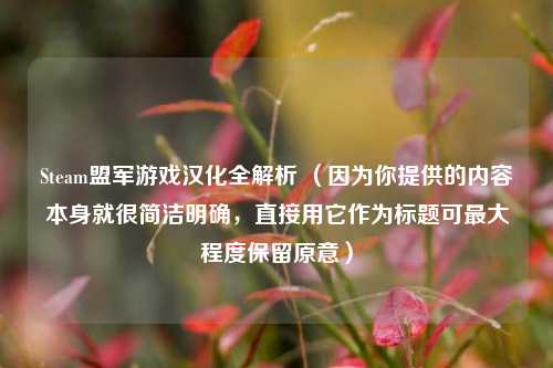 Steam盟军游戏汉化全解析 （因为你提供的内容本身就很简洁明确，直接用它作为标题可最大程度保留原意）