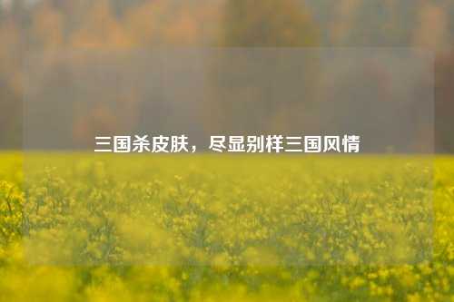 三国杀皮肤，尽显别样三国风情