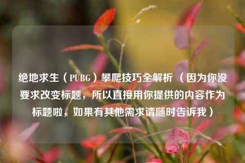 绝地求生(PUBG)攀爬技巧全解析 (因为你没要求改变标题,所以直接用你提供的内容作为标题啦,如果有其他需求请随时告诉我)